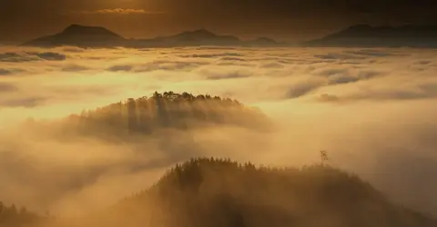 Les forêts sur les chemins de Kumano Kodo, péninsule de Kii Les forêts sur les chemins de Kumano Kodo, péninsule de Kii