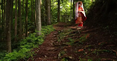 Sur les chemins de Kumano kodo