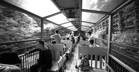 A bord du Sagano Romantic Train A bord du Sagano Romantic Train
