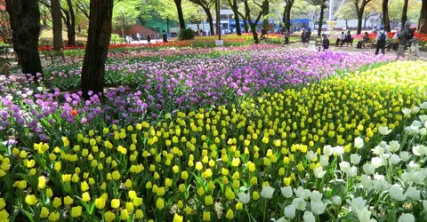 Le parc de Yokohama Le parc de Yokohama