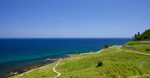 Rice terraces 'Senmaida'