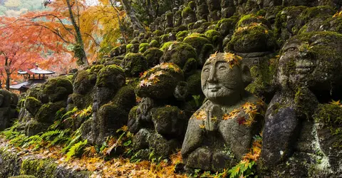 Rakan sous les feuilles d'érables rougies Rakan sous les feuilles d'érables rougies