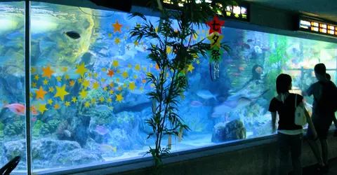 L'aquarium de Sunshine City est le plus haut du monde ! L'aquarium de Sunshine City est le plus haut du monde !
