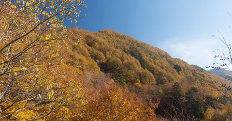 La vallée de Nishizawa à Yamanashi La vallée de Nishizawa à Yamanashi