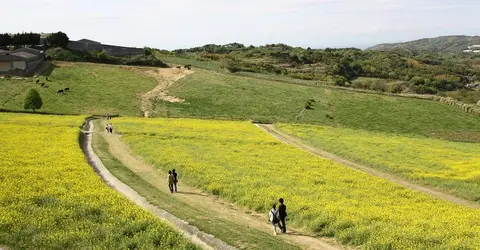 L'île d'Awajishima sur la mer de Seto L'île d'Awajishima sur la mer de Seto