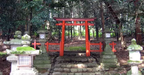 Torii du Wakamiya jinja de NaraTorii du Wakamiya jinja de Nara Torii du Wakamiya jinja de Nara