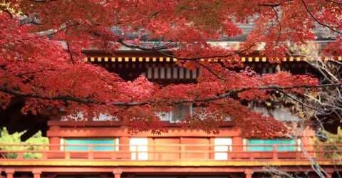 Les couleurs du Muro-ji à l'automne. Les couleurs du Muro-ji à l'automne.