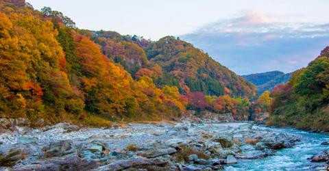 La région de Chichibu en automne