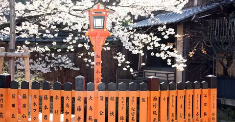 Shinmonzen Shinmonzen
