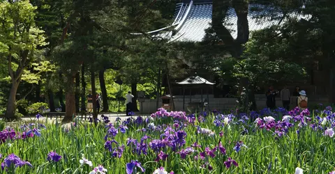 Le temple Môtsû-ji