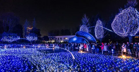 Les illuminations à Tokyo Midtown Les illuminations à Tokyo Midtown