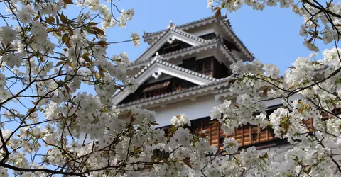 Au printemps, les cerisiers près du château fleurissent