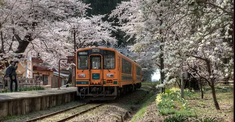La ligne Tsuguru La ligne Tsuguru
