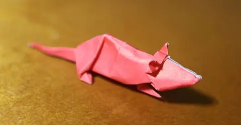 Un rat en origami Un rat en origami