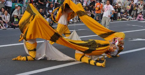 La danse du tigre au sol