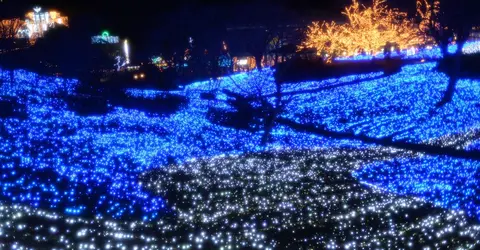 Parterre de lumières près du lac Sagami