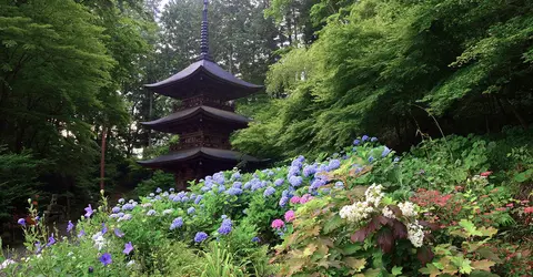 Le temple Teijo-ji dans la préfecture de Nagano