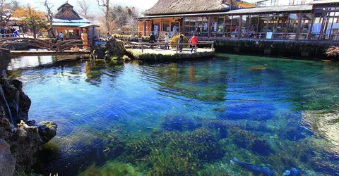 La beauté des étangs de Oshino ont fait la renommée du village La beauté des étangs de Oshino ont fait la renommée du village