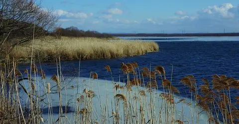 Le lac Utonai, une des plus grandes régions marécageuses du Japon