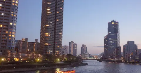 Le soir au printemps, entre buildings et cerisiers Le soir au printemps, entre buildings et cerisiers