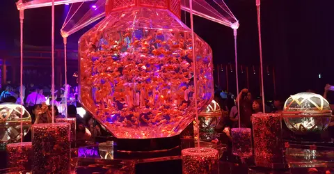 Art Aquarium Nihonbashi Art Aquarium Nihonbashi