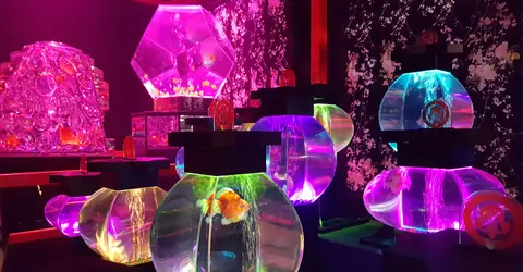 Les aquariums sont un moyen de rendre hommage à la période Edo Les aquariums sont un moyen de rendre hommage à la période Edo
