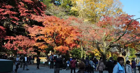 L'automne au mont Takao