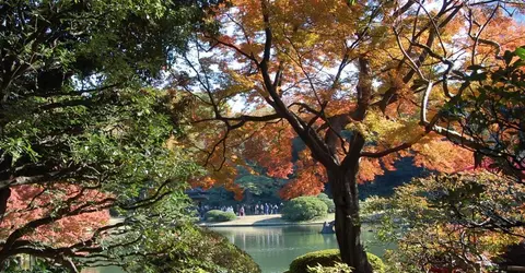  Le jardin de Rikugi-en à Komagome