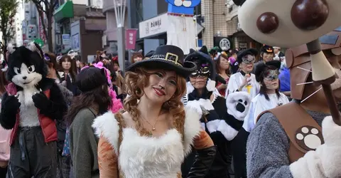 Le Kagurazaka Bakeneko Festival