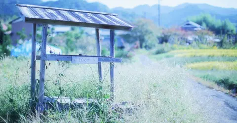 Un étalage bien vide en campagne Un étalage bien vide en campagne