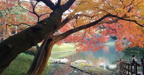 Korakuen en automne Korakuen en automne