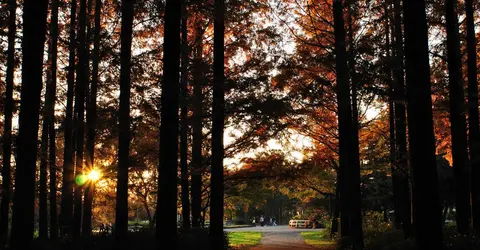 Le parc Mizumoto, un havre de paix lorsque l'automne arrive Le parc Mizumoto, un havre de paix lorsque l'automne arrive