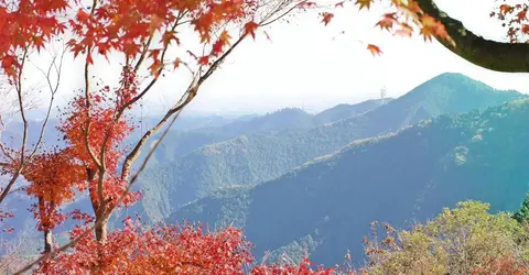 Depuis le mont Mitake en novembre