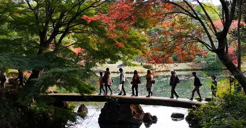Rikugien sous les koyo Rikugien sous les koyo