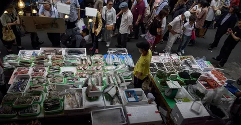 Le poisson du Tohoku est très réputé sur le marché Le poisson du Tohoku est très réputé sur le marché