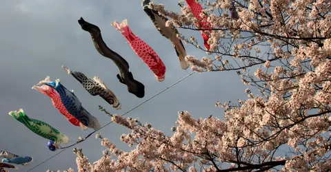 Koinobori,carp shaped windsocks