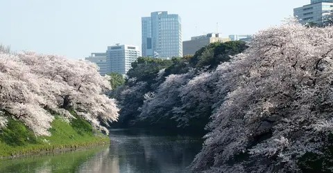 Les douves du palais impérial de Tokyo