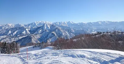 Yuzawa Yuzawa