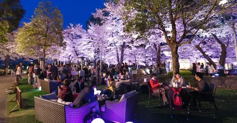 Tokyo Midtown est un endroit de choix pour célébrer yozakura à Roppongi Tokyo Midtown est un endroit de choix pour célébrer yozakura à Roppongi