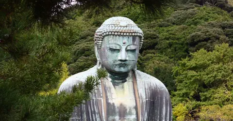 Le grand Bouddha de Kamakura dans un écrin de verdure Le grand Bouddha de Kamakura dans un écrin de verdure