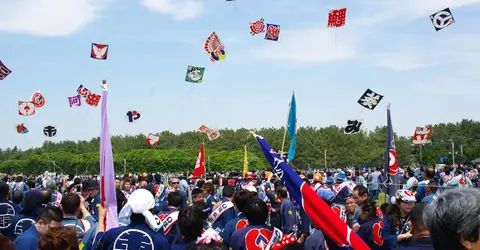 Hamamatsu festival