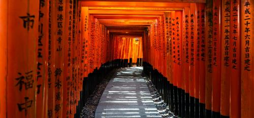 Torii tunnel of Fushimi Inari, Kyoto