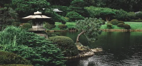 Gyoen National Garden, Shinjuku-ku, Japan