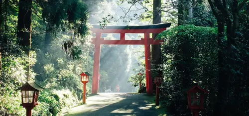 Préparer son voyage au japon