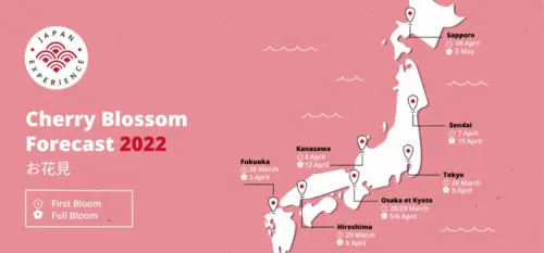 Cherry Blossom in Japan Cherry Blossom in Japan