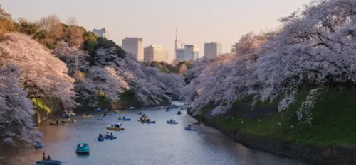 Image taken by Yu Kato from Unsplash