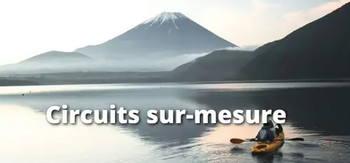Circuits sur mesure Circuits sur mesure