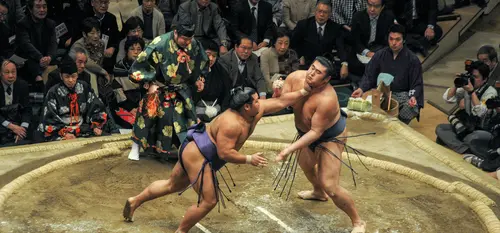 Match de Sumo