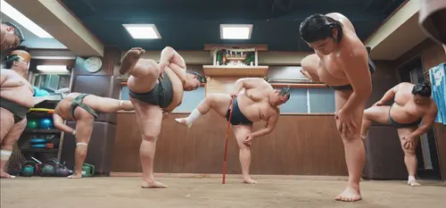 Entrainement de sumo (Ryogoku, Tokyo)