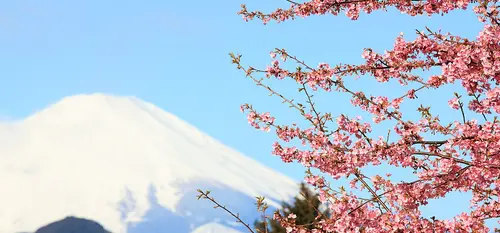 Mount Fuji from Nishihirabatake Park in Kanagawa